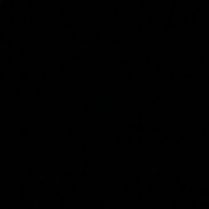 Meet your Posher, Emma rae